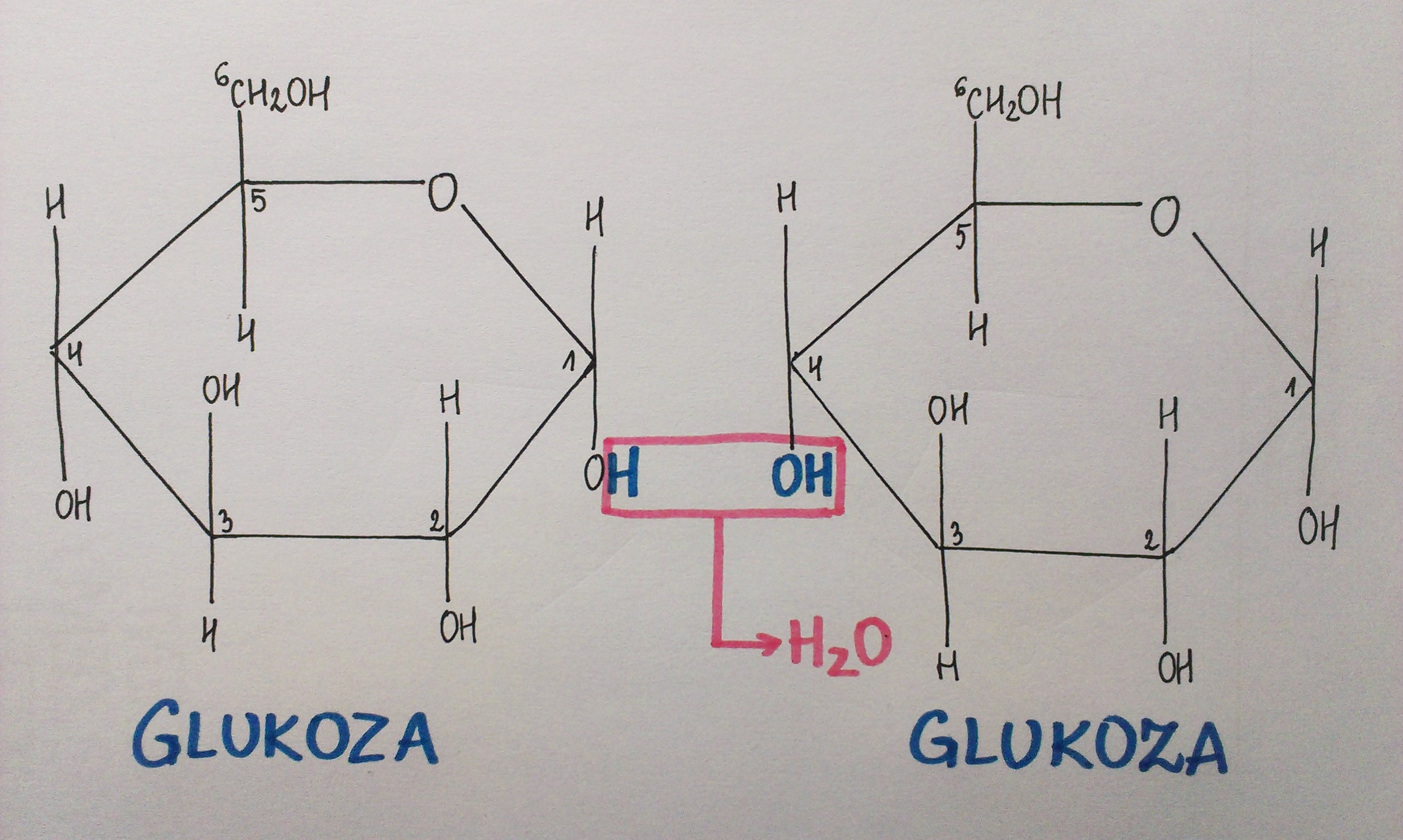 Znalezione obrazy dla zapytania powstanie wiazania o glikozydowego glukoza